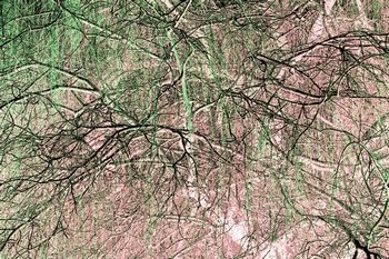 T 097B